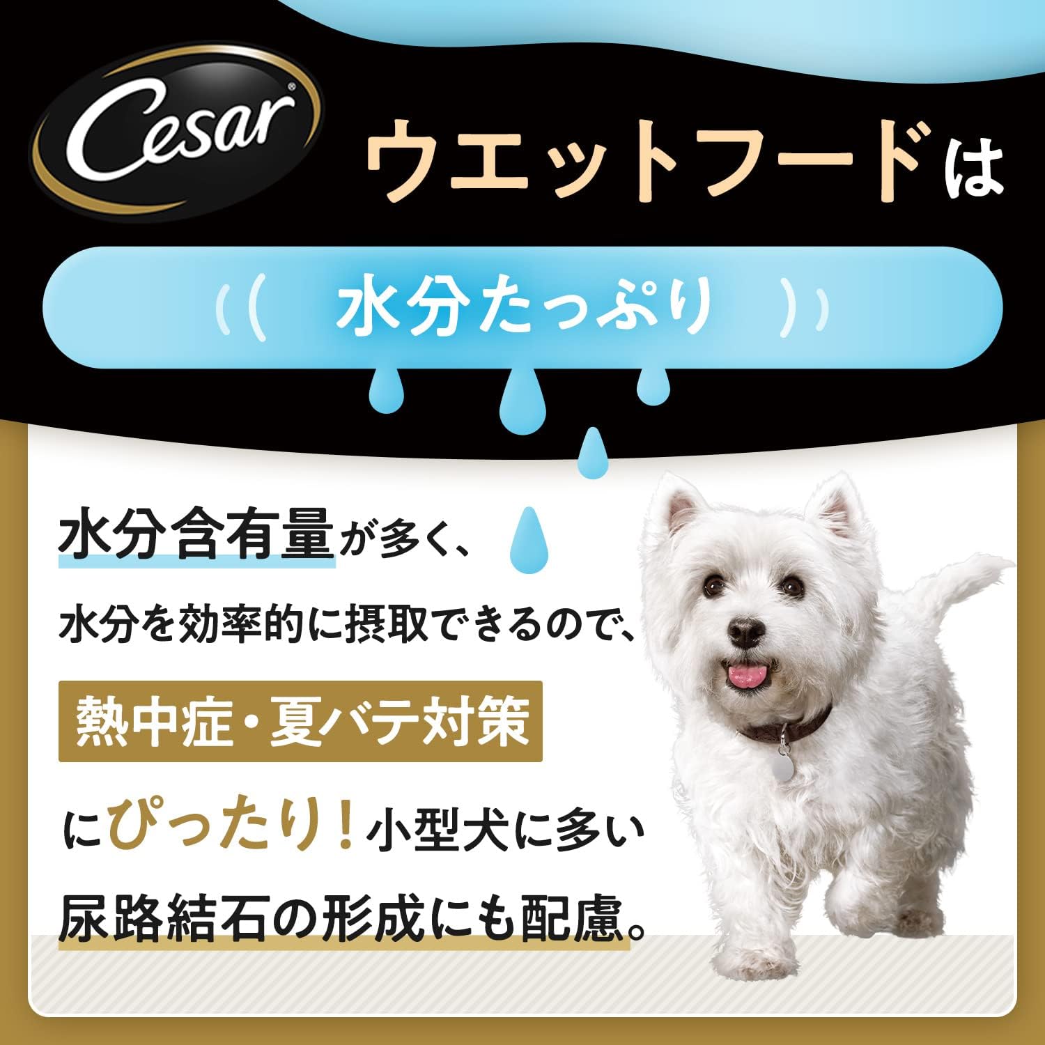 【訳あり】【賞味期限：2027.12.17】シーザー パウチ 成犬用 70gx16袋 ジューシー厳選ビーフ チーズ・彩り野菜入り 厳選素材 水分補給 とろみタイプ ウェットフード ドッグフード 犬 Cesar