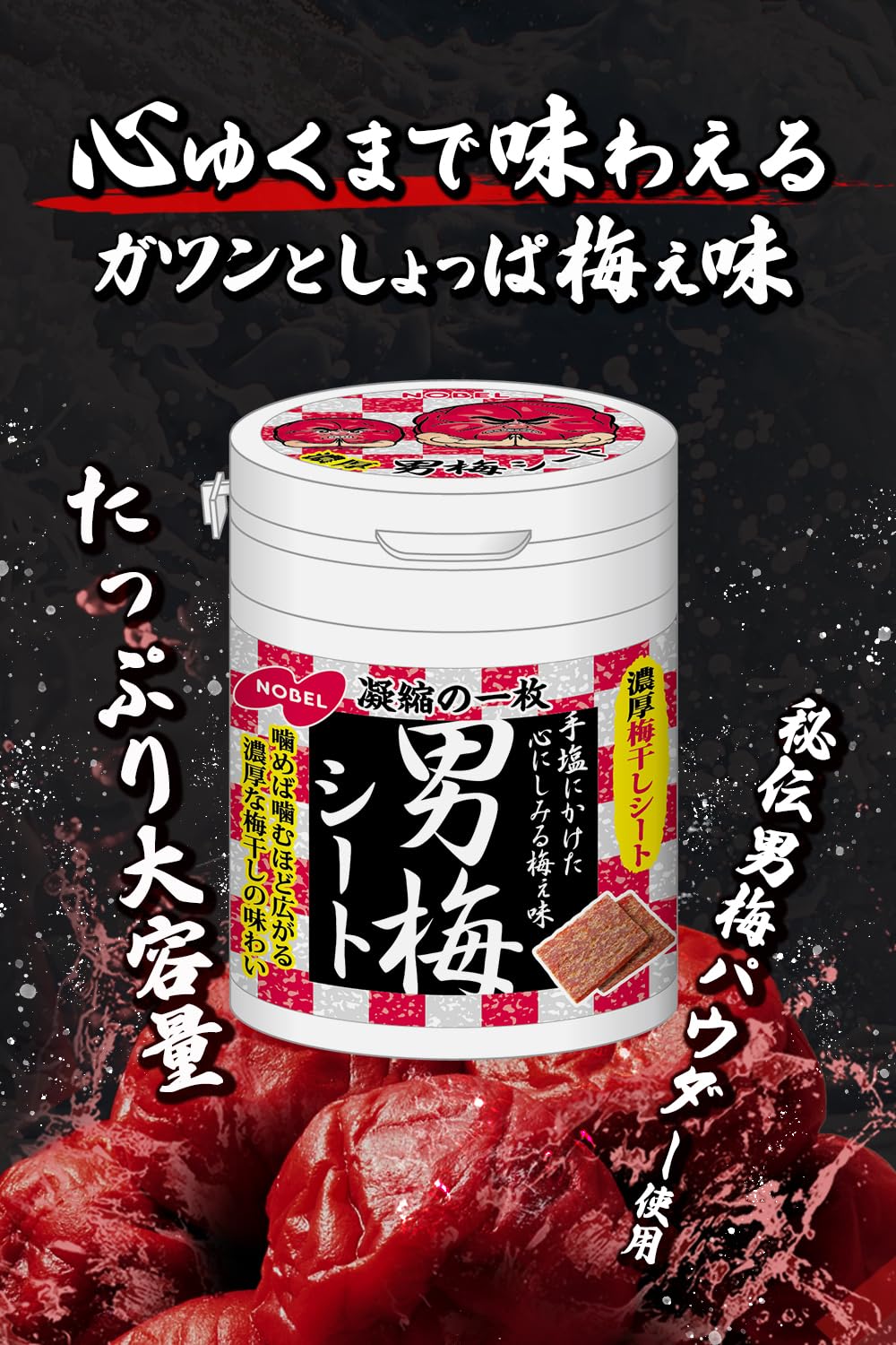 【賞味期限：2026.07.31】ノーベル 男梅シートボトル 75g×4個