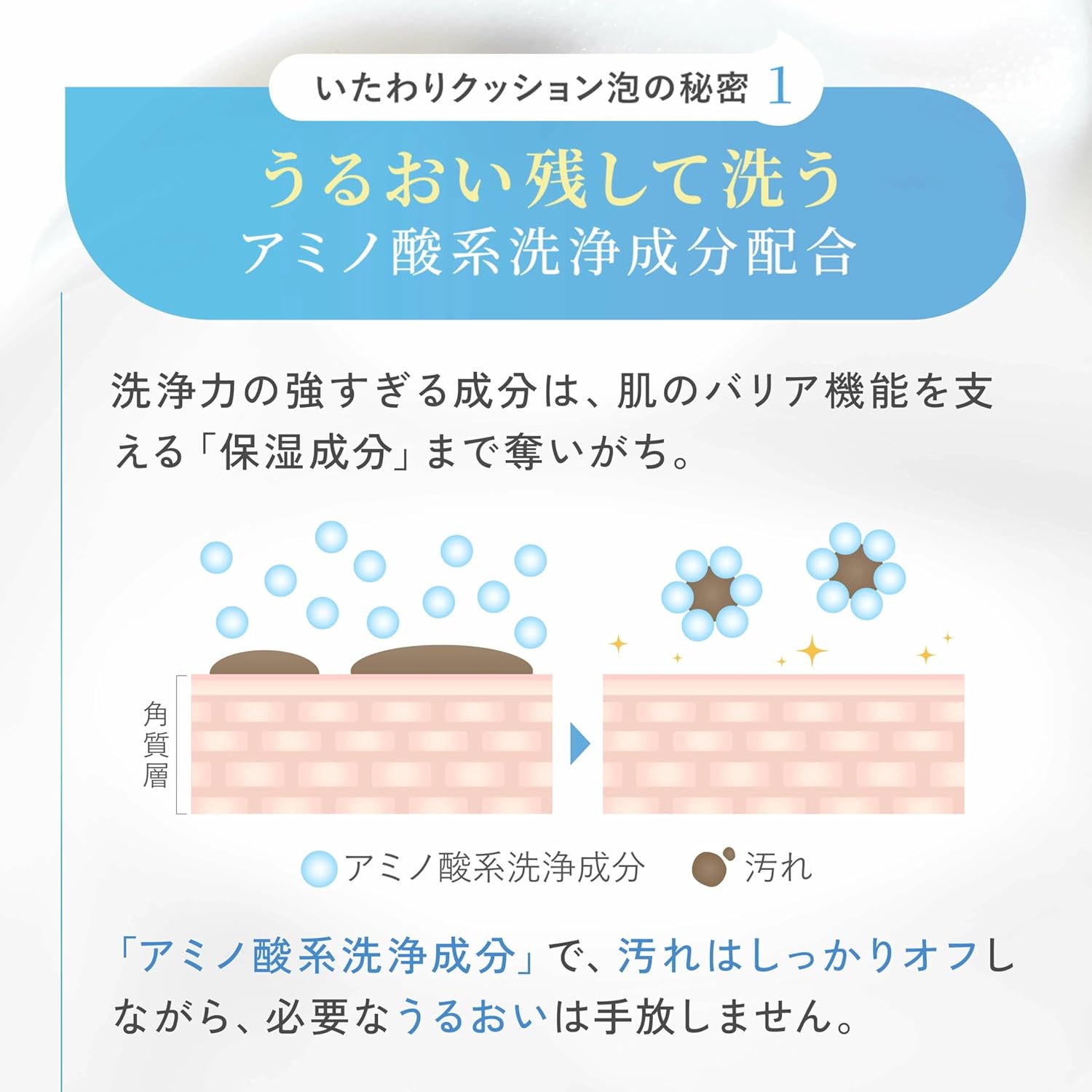 【訳あり】ファンケル FANCL ピュアモイスト 泡洗顔料 50mL×1本約60回分 敏感肌 しっとり なめらか うるおい 肌荒れ セラミド 保湿 無添加 洗顔料