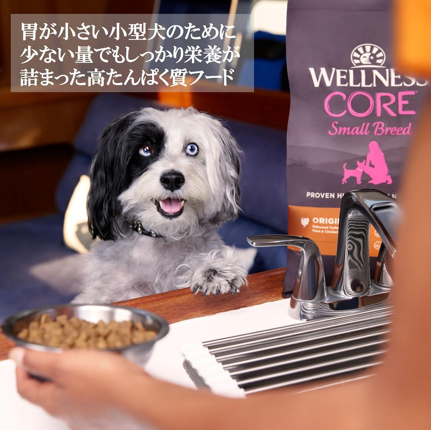 【賞味期限：2026.5.17】ウェルネス コア ドッグフード ドライ 大容量5.4kg 小型犬 成犬用 1-6歳 グレインフリー 高たんぱく質 骨抜き七面鳥 乳酸菌 オメガ3脂肪酸 食物繊維 グルコサミン