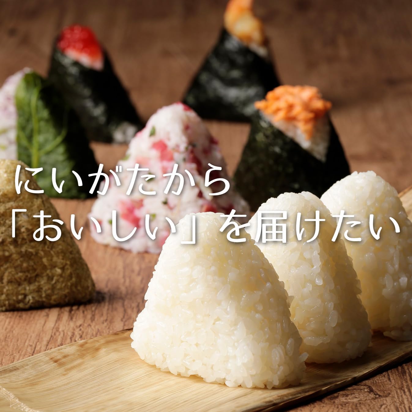【精米时期 2026.2月～5月】新潟県産新之助 無洗米 5kg 令和7年産