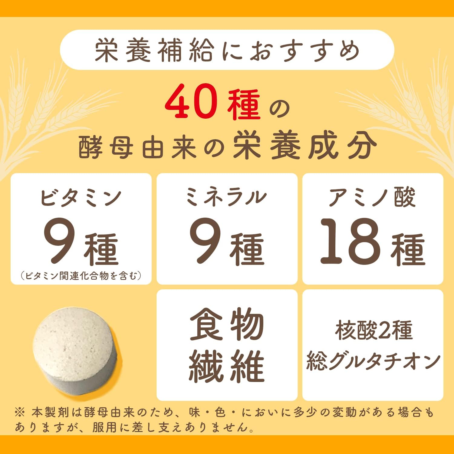 【訳あり】【賞味期限：2031.1】エビオス錠 1200錠