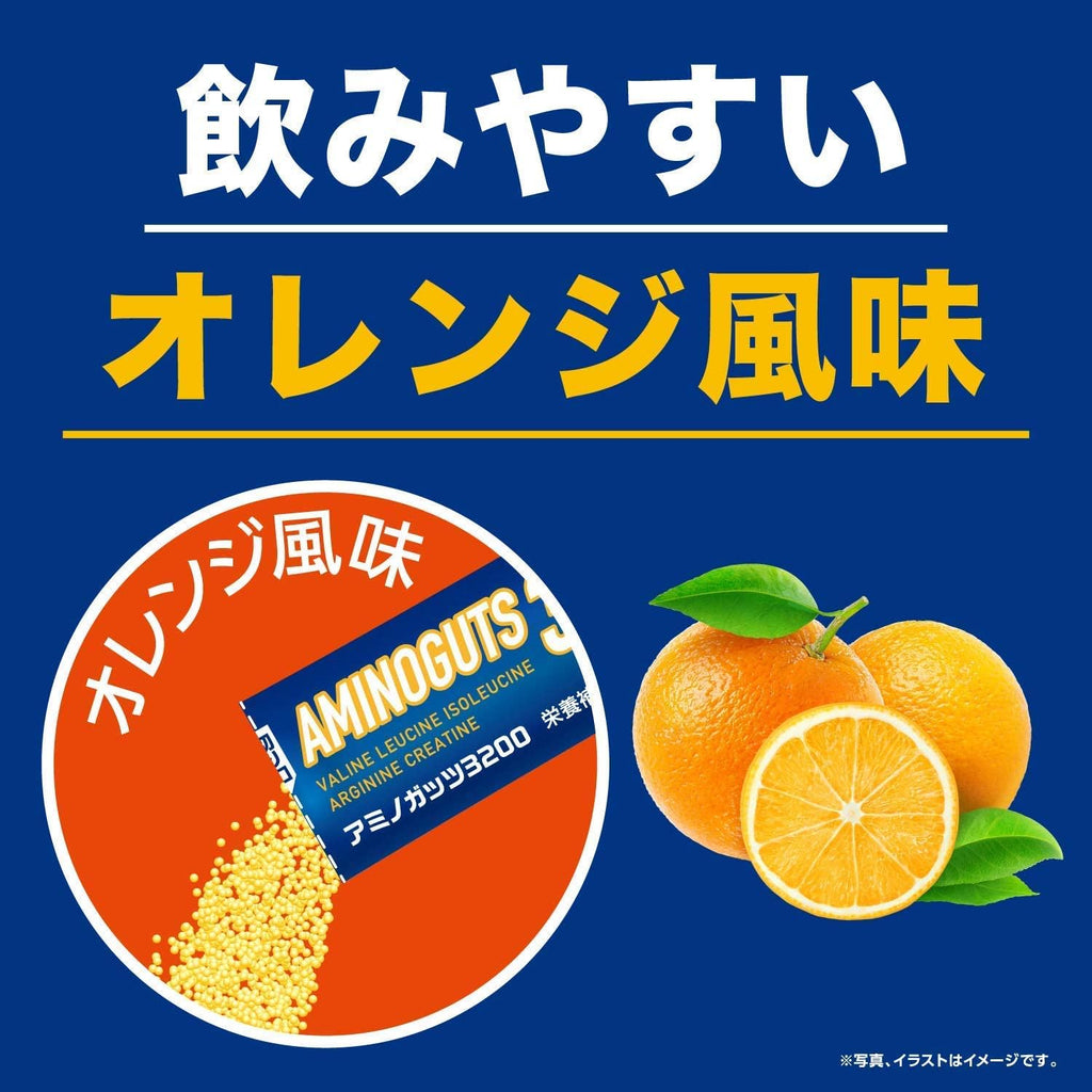【訳あり】【賞味期限：2028.1】リブ・ラボラトリーズ BCAA 運動 必須アミノ酸 アルギニン クレアチン ビタミン スティックタイプ アミノガッツ 4.2gx30包