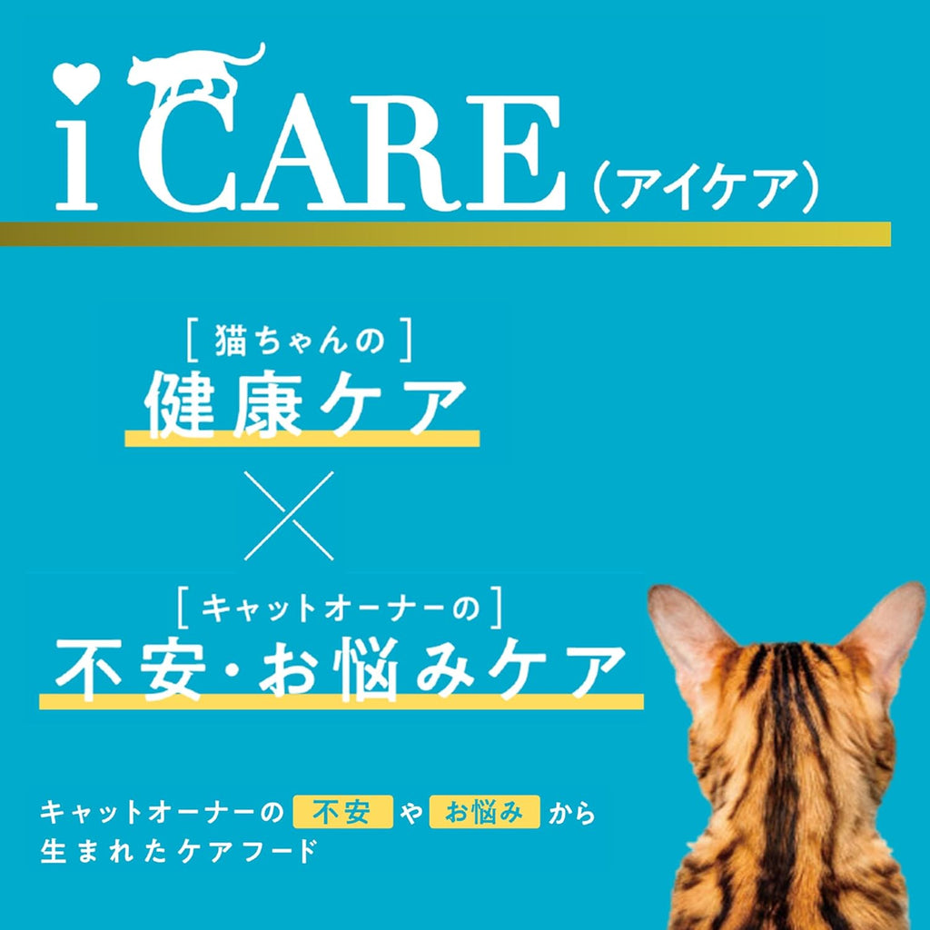 【訳あり】【賞味期限：2028.1.1】i CARE アイケア 毛玉吐き戻しケア まぐろペースト 35g×12個セット
