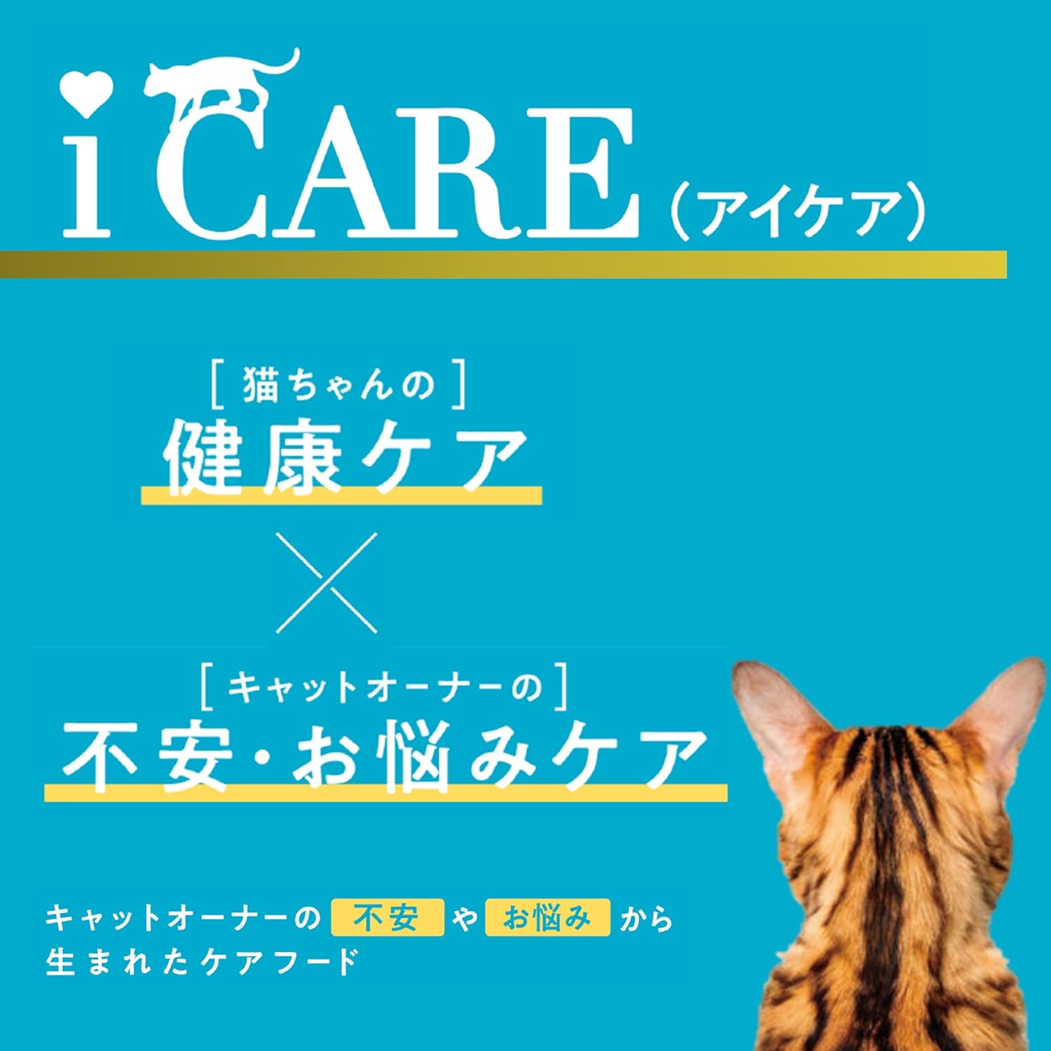 【訳あり】【賞味期限：2028.1.1】i CARE アイケア 毛玉吐き戻しケア まぐろペースト 35g×12個セット