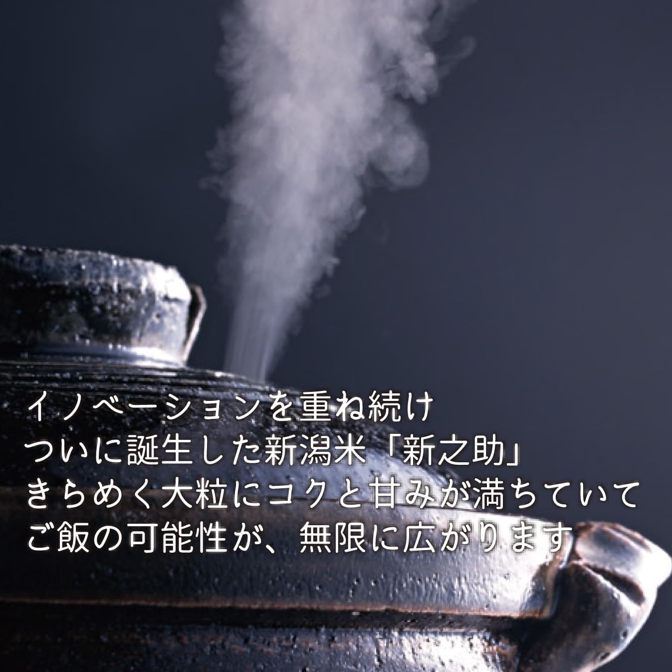 【精米时期 2026.2月～5月】新潟県産新之助 無洗米 5kg 令和7年産