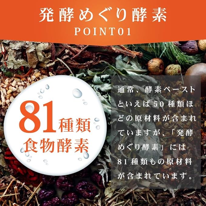 81種類の食物酵素 おひさましょうが 発酵めぐり酵素 ペーストタイプ 1ヶ月分 31包入 酵素ゼリー