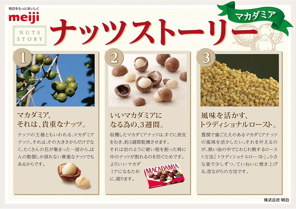 【賞味期限2026.6.30】明治 マカダミアチョコレートビッグバッグ 4袋