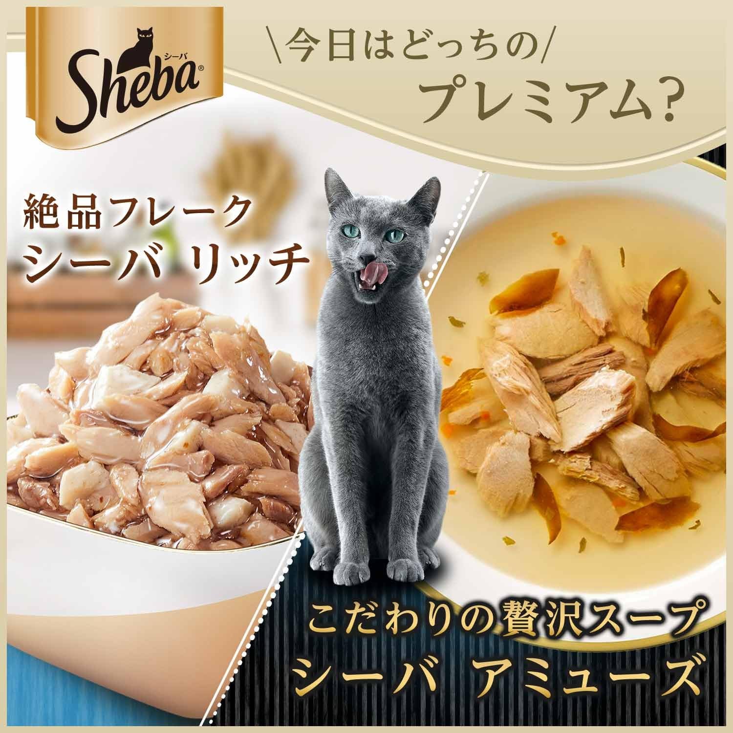 【訳あり】【賞味期限：2028.1.13】シーバ リッチ ウェット 成猫用 お魚にかつお節添え 35g×12袋 水分補給 キャットフード 猫 Sheba パウチ