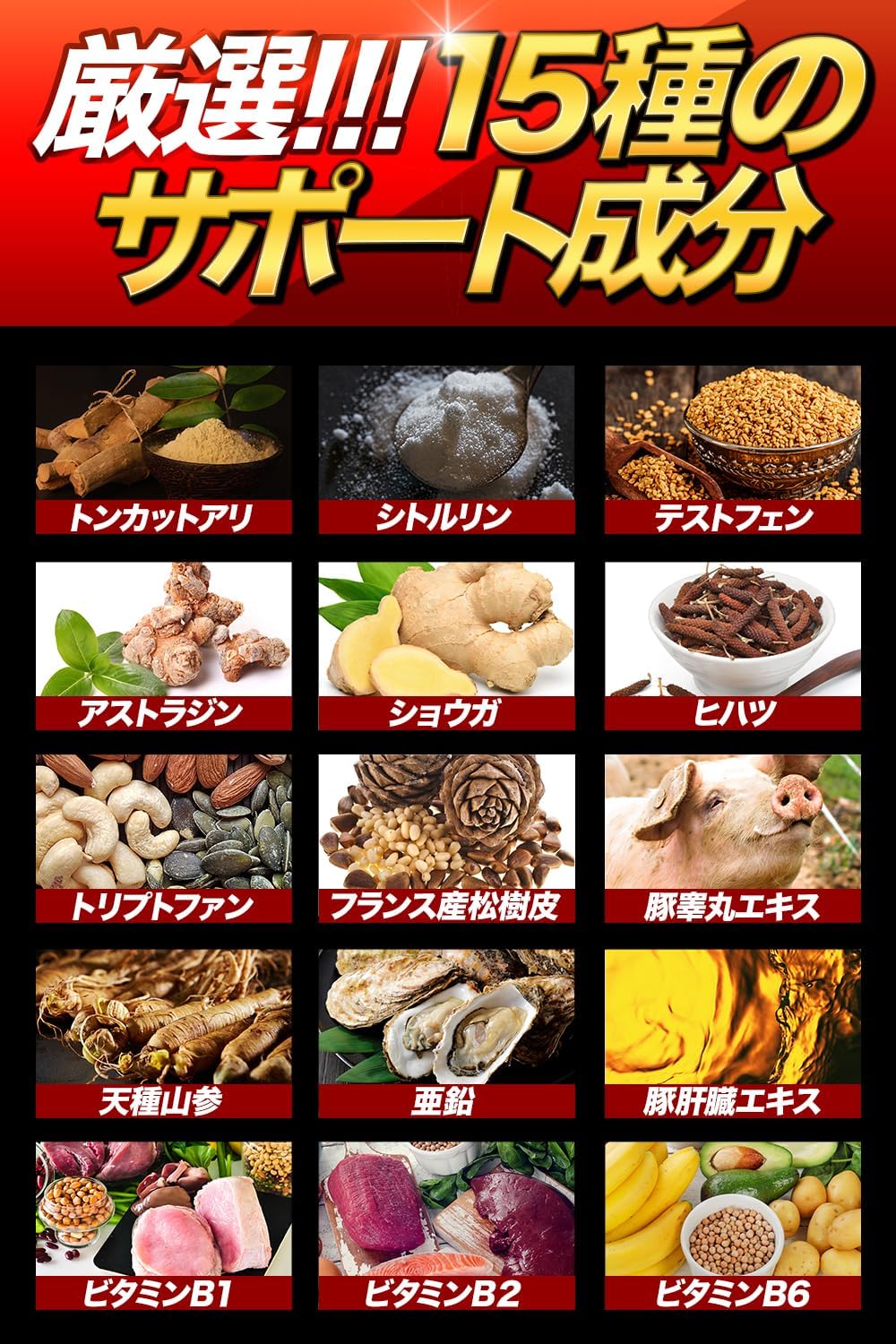 【NHK出演の専門家が推奨】獣王BEAST クラチャイダム トンカットアリ すっぽん アルギニン シトルリン 亜鉛 厳選成分15日分日本製 (1袋)