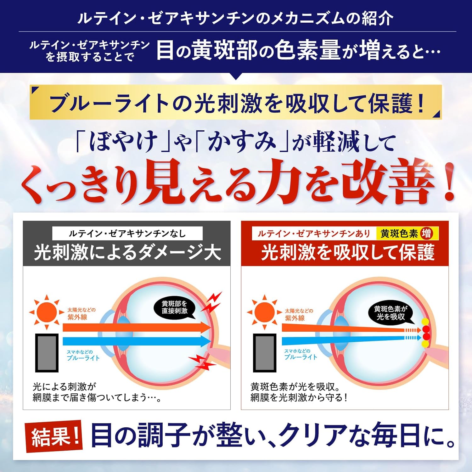 ルテインブルーライト対策 機能性表示食品のルテイン10mg ゼアキサンチン2mg ブルーベリー 30粒 30日分 1日1粒 紫外線やブルーライト光などの光ストレスから保護 コントラスト感度(ぼやけ・かすみを和らげくっきり見る力)を改善 目の黄斑部の色素量を増やす 目の調子を整える パソコン・スマホのブルーライト対策 サプリメント 国内GMP認定工場 新日本ヘルス