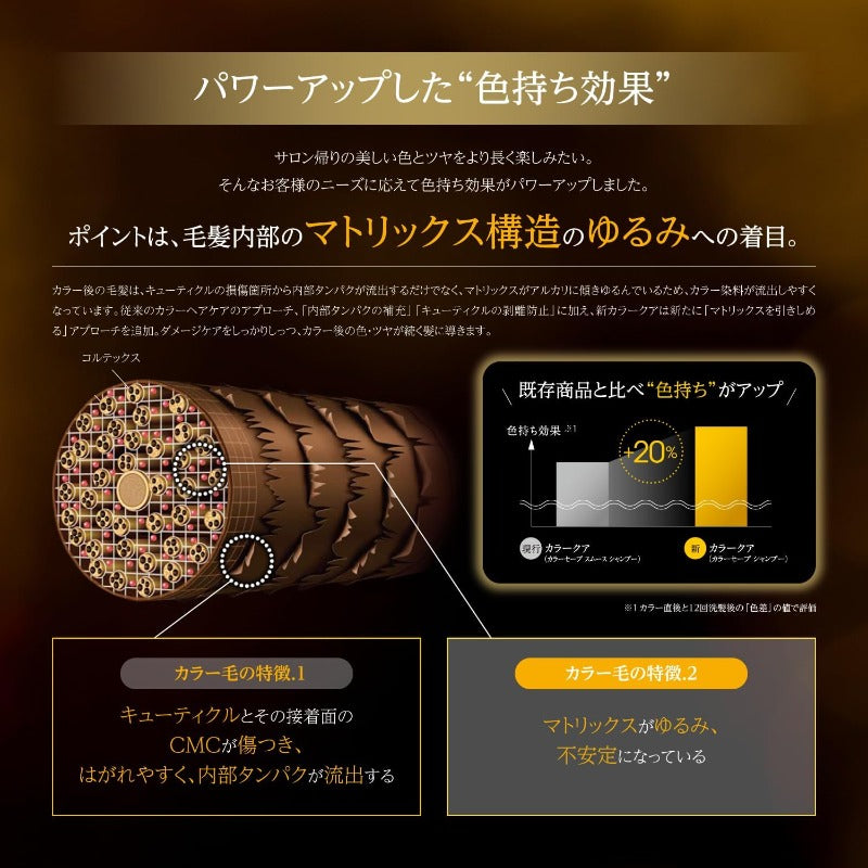 BCKUR COLOR SAVE シャンプー 250ml カラーヘア用 色落ちケア サラサラふんわりタイプ サロン専売品 シュワルツコフ プロフェッショナル BCクア カラーセーブ (600ml(詰替))