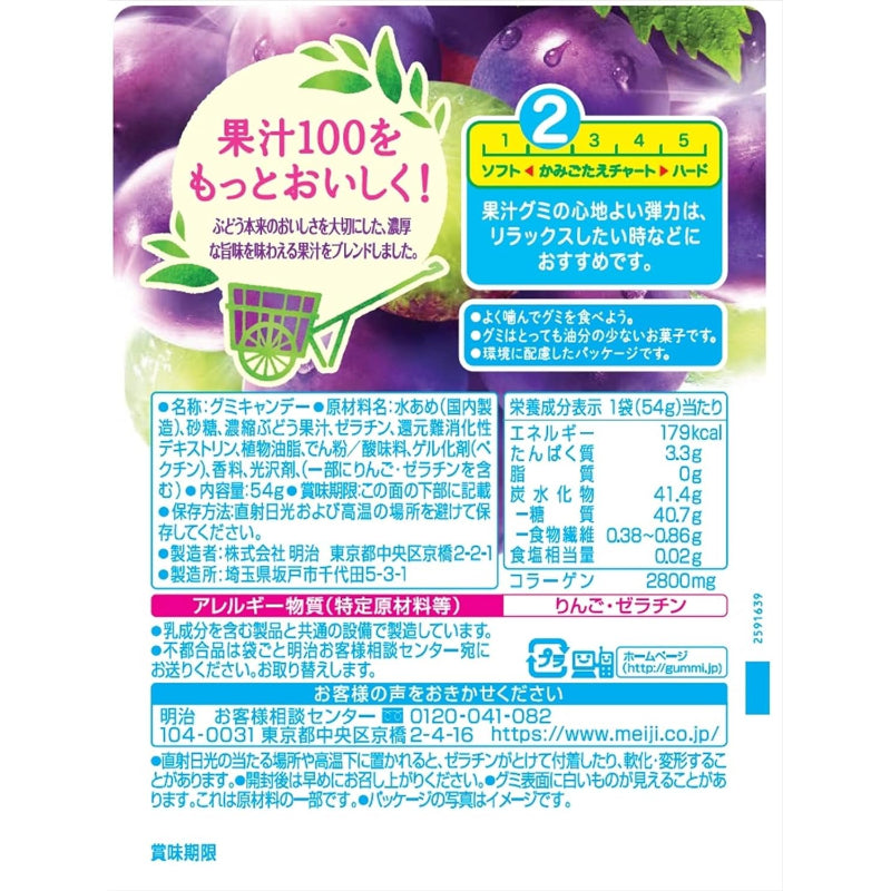 【賞味期限：2027.1.31】明治グミ 果汁グミぶどう 54g×10袋