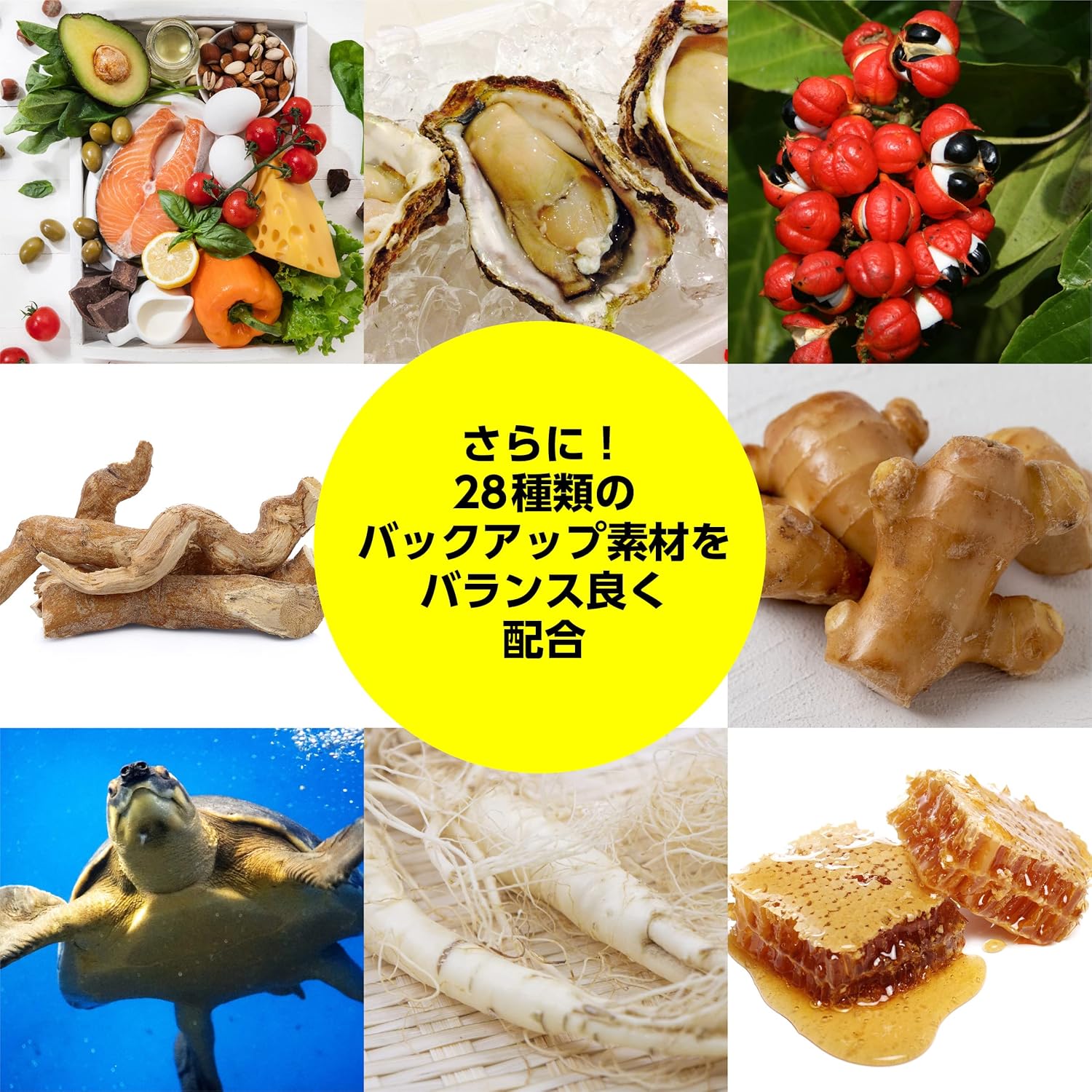 【賞味期限：2027.1.14】井藤漢方製薬 マカドリンク【マカ22000 極TERA MAX 50ml】