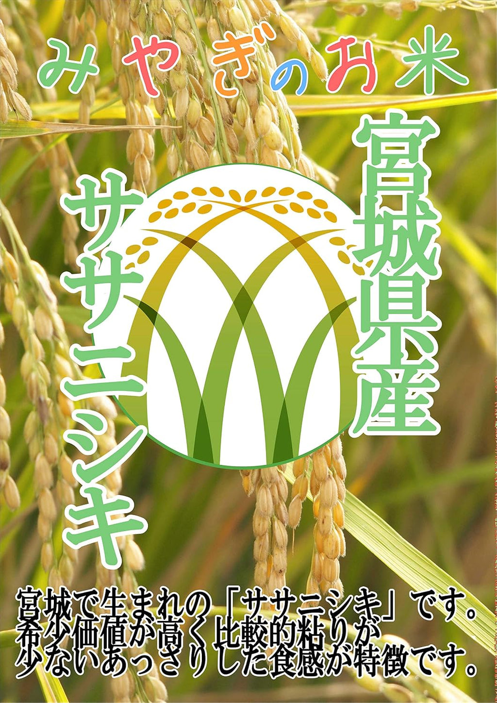 精米时期 2025.12月】パールライス宮城 宮城県産 ササニシキ 5kg 令和7年産