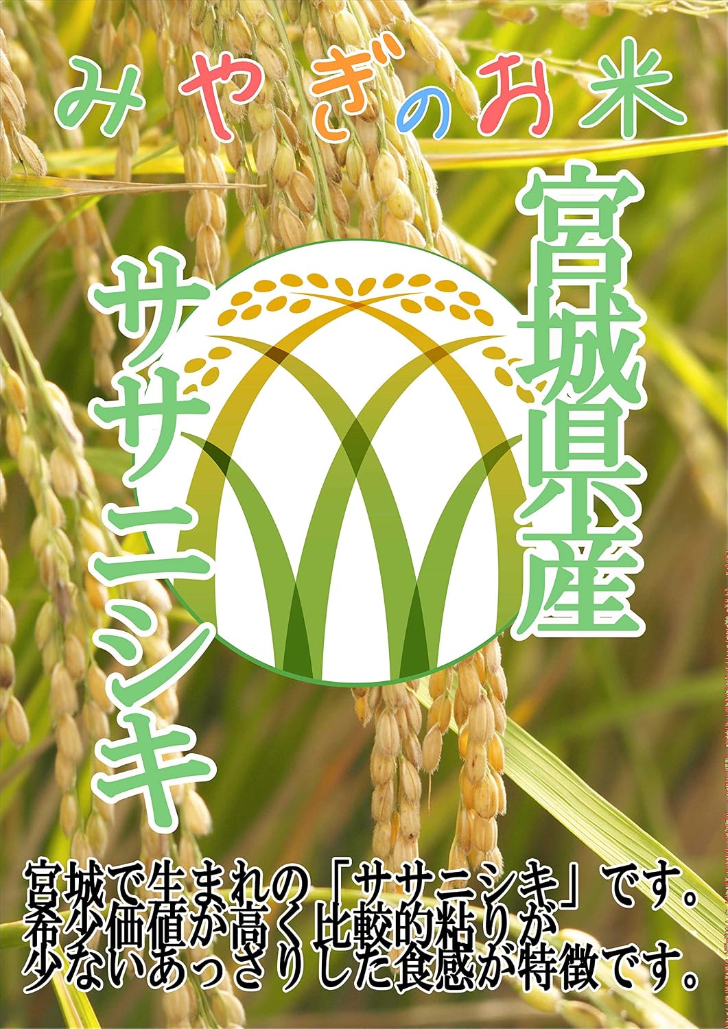 精米时期 2025.12月】パールライス宮城 宮城県産 ササニシキ 5kg 令和7年産