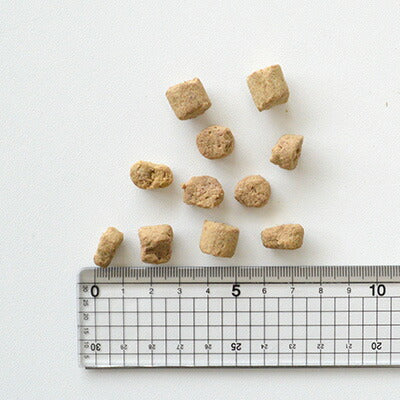 ケーナインナチュラル (K9 Natural) エアドライ 犬用おやつ ラム・ラング 50g