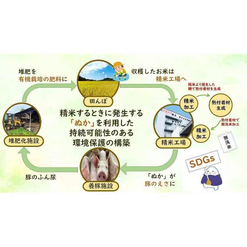 精米时期2026.04 パールライス 福島県産 無洗米 天のつぶ 5kg 令和7年産