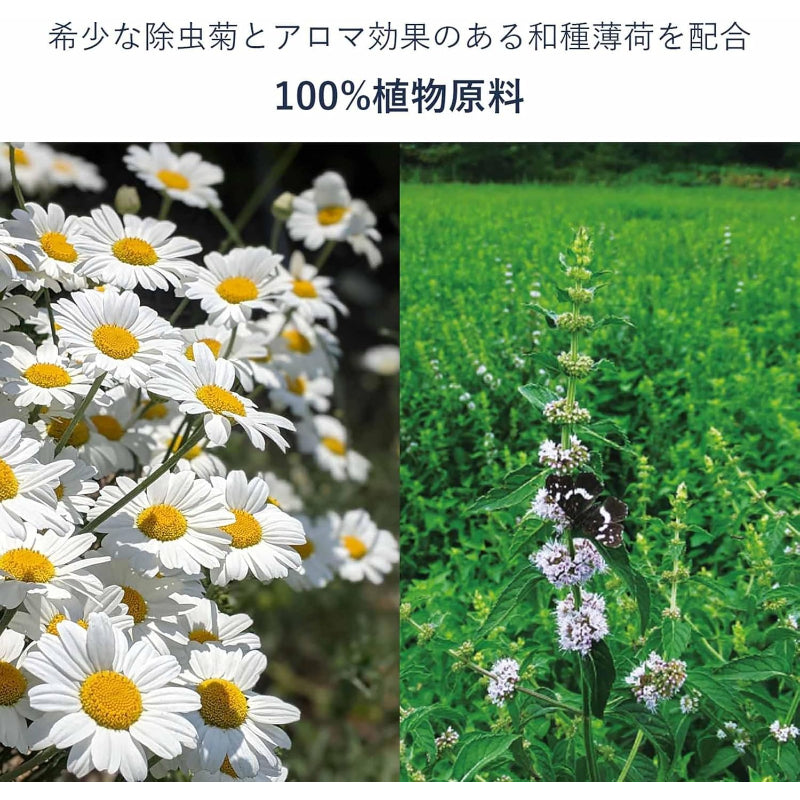 STYLE JAPAN スタイルジャパン 菊花線香 丸型ミニサイズ(8巻×4包入) 天然 除虫菊 蚊取り線香 mosquito coil 日本製 ノンケミカル 無添加 菊花せんこう 虫よけ RN111202