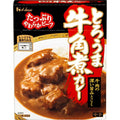 賞味期限 2027.3 とろうま ハウス 豚角煮カレー 200g ×5個 【レンジ調理対応】【レトルト食品】【非常食】