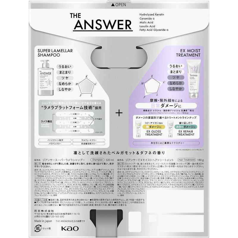 THE ANSWER ジ アンサー スーパーラメラシャンプー＆EXモイストトリートメント FOR DAILY DAMAGE(うるおい まとまり) お試し容量ペア 320ml＆180g