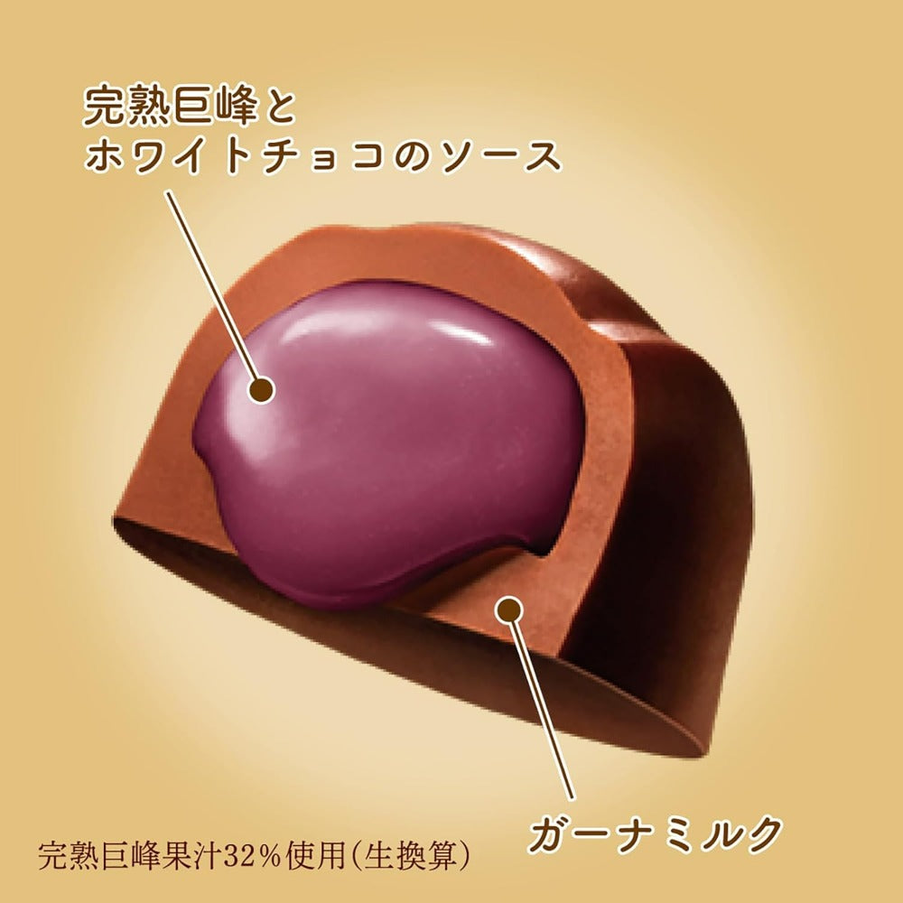 【賞味期限2026.7.31】ロッテ プレミアムガーナ フルーツショコラ(完熟巨峰) 65g (× 2)