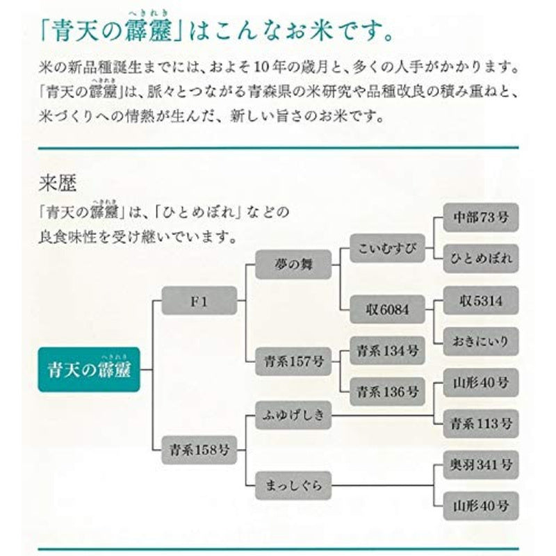 精米时期2026.6】パールライス 青森県産 白米 青天の霹靂 5kg 令和7年産