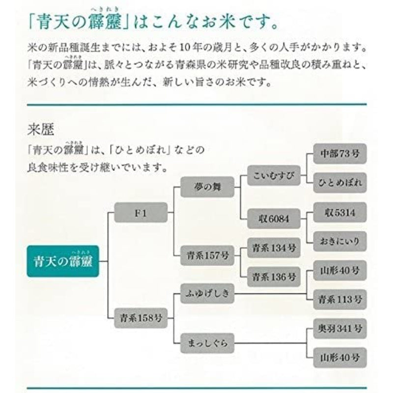 賞味期限2026.6】パールライス 青森県産 無洗米 青天の霹靂 5kg 令和7年産